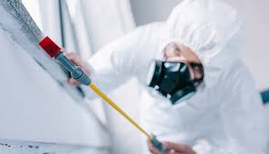 Best Residential Pest Control  in Montgomery, GA